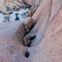 NAM ERO Spitzkoppe 2016NOV24 CampHill 034 : 2016, 2016 - African Adventures, Africa, Camp Hill, Date, Erongo, Month, Namibia, November, Places, Southern, Spitzkoppe, Trips, Year